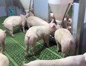 [쿠키과학] 