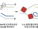 [쿠키과학] 