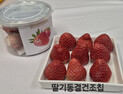 고성군, 지역 딸기 활용 동결건조칩 개발…농가 소득·시장 경쟁력, 동시에 잡는다