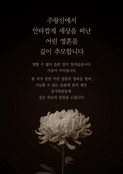 청송 주왕산에서 실종된 대구 11세 초등학생이 사흘 만에 숨진 채 발견돼 애도가 이어지고 있다. 출처=강은희 대구시교육감 예비후보 페이스북