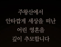 “미처 피지 못한 꽃”…주왕산 실종 초등생 비보에 애도 물결