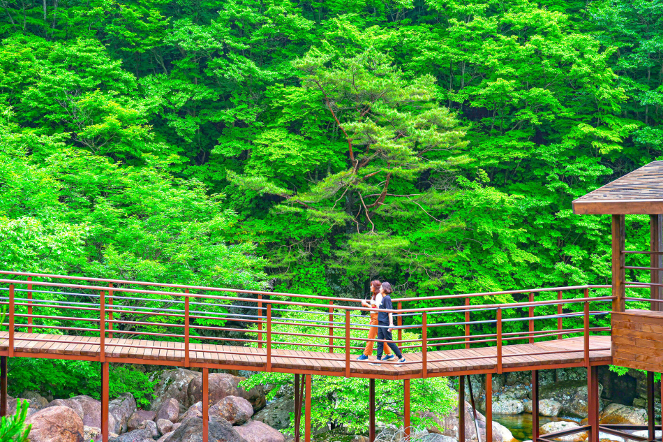 산청 중산두류생태탐방로 (1).JPG