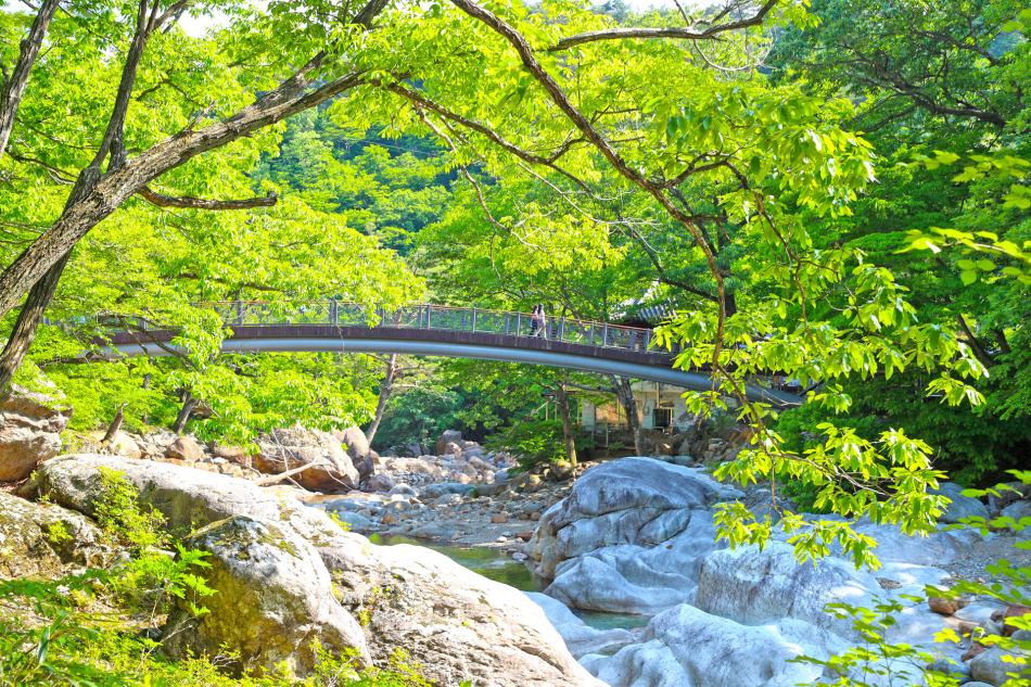 산청 대원사계곡길