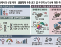 [쿠키과학] ‘여성 자폐 보호막, 무너진다’… IBS, 성별 차이 원인 첫 규명