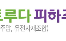 알테오젠 기술 적용 ‘키트루다 피하주사’ 국내 허가…4분기 출시