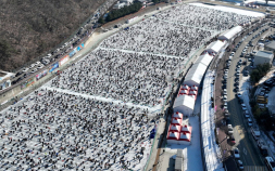 화천산천어축제 23일간 경제효과 2407억…성장동력 ‘한몫‘
