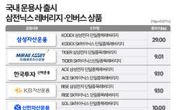 “하루 최대 60% 손실 가능” 경고에도…삼전·닉스 2배에 ‘뭉칫돈’