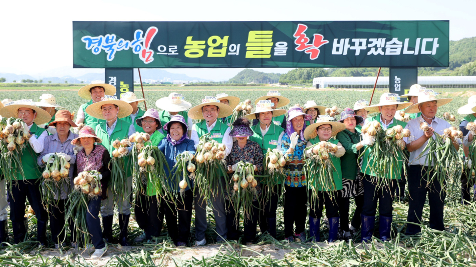 ‘경북형 공동영농’이 실질적인 ‘소득 증대’로 이어지며, 농촌 경제의 판도를 바꾸고 있다. 경북도 제공.
