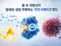 [쿠키과학] KAIST, 암세포 성장 스위치 끄는 천연물질 찾았다