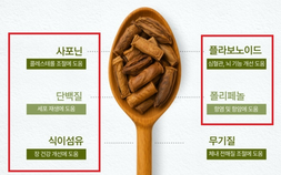 식약처, ‘감기 예방·면역력 강화’ 식품 부당광고 165건 적발
