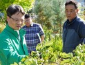 박은식 산림청장, 산림 신품종 재배단지 방문 [쿠키포토]
