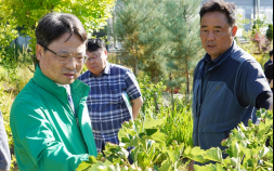 박은식 산림청장, 산림 신품종 재배단지 방문 [쿠키포토]