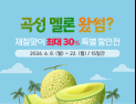 곡성몰, 달콤‧향긋 곡성멜론 30% 할인
