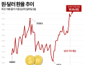 고삐 풀린 환율 17년래 최고…실물경제 ‘휘청’