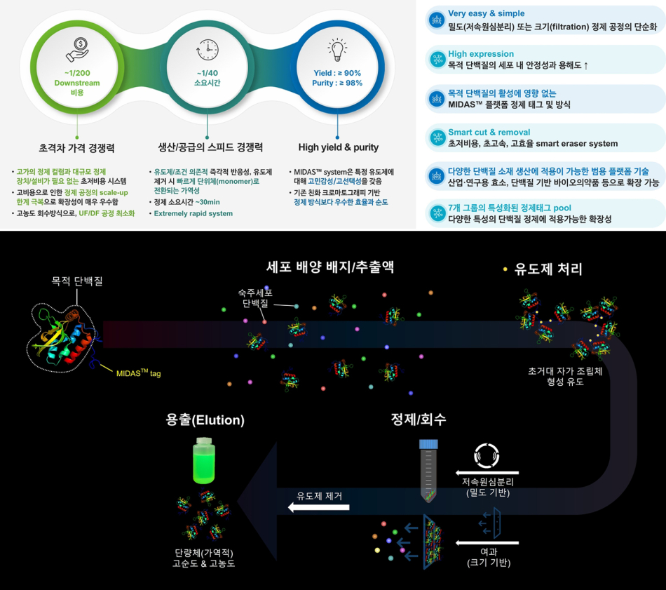 크리포㈜의 핵심 기술인 MIDAS™ 정제 플랫폼은 기존 크로마토그래피 기반 단백질 정제 공정에서 사용되는 고가의 레진과 컬럼 없이 단백질을 정제할 수 있도록 설계된 기술이다. /순천대학교