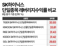 같은 ‘하이닉스 2배’인데 수익률은 딴판…ACE 사태에 드러난 ‘레버리지 함정’