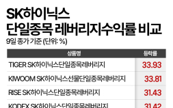 같은 ‘하이닉스 2배’인데 수익률은 딴판…ACE 사태에 드러난 ‘레버리지 함정’