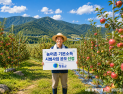 청송군, 농어촌 기본소득 시범사업 선정…18개월간 월 15만원 지급
