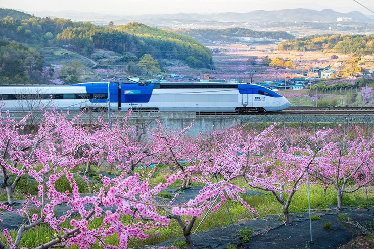 KTX 산천. 코레일