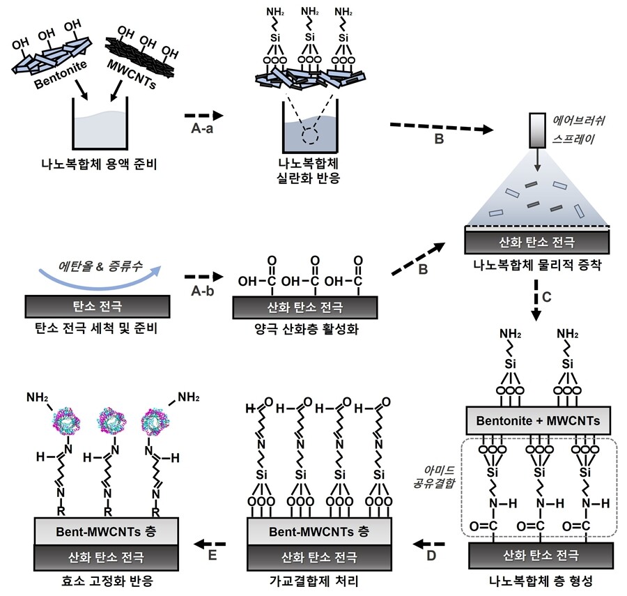 벤토나이트-다중벽 탄소나노튜브 바이오센서 제작 과정 모식도. 한국지질자원연구원
