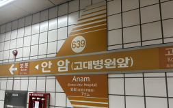 6호선 안암역 소방점검 중 이산화탄소 방출…“현재 정상 운행 중”