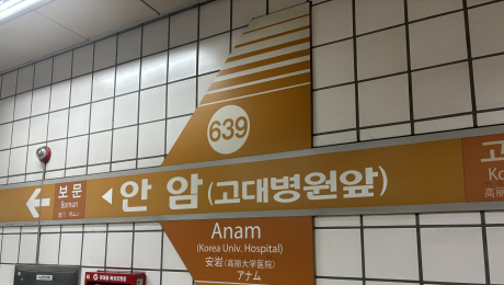6호선 안암역 소방점검 중 이산화탄소 방출…“현재 정상 운행 중”