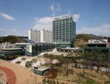 포항시, 수소 경제 견인 기반 ‘마련’