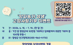 함양군, 양파농가 돕는 고향사랑기부제 상생 이벤트 추진