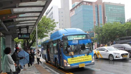 대구 어르신 버스 무임승차 ‘경제성’ 입증…2035년까지 순효과 4115억원 전망