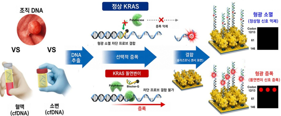 한국재료연구원 플라즈모닉 기반 액체생검 플랫폼. KIMS 제공