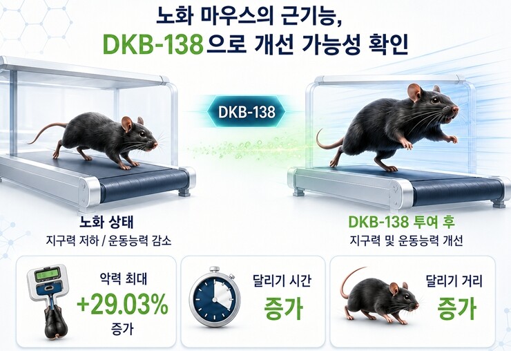 노화 쥐의 운동능력 회복. 한국한의학연구원