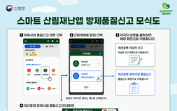 산림청, 재선충병 방제사업 국민 신고제 도입