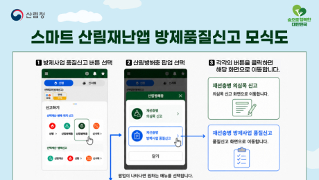 산림청, 재선충병 방제사업 국민 신고제 도입