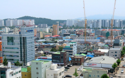 강릉 포남용마거리, 유망골목상권 선정...문화·미식 어우러진 포차특화존 조성