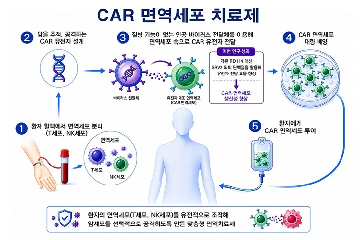 CAR 면역세포 치료제 생산 과정. 한국화학연구원