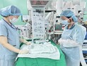 경북도, 캄보디아 핵심 의료인력 초청연수…공공보건의료 국제협력 확대