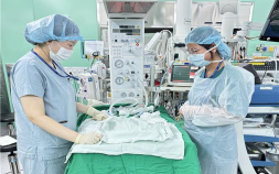 경북도, 캄보디아 핵심 의료인력 초청연수…공공보건의료 국제협력 확대