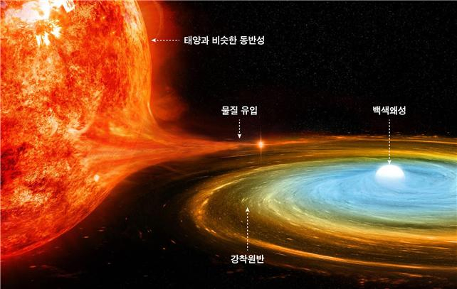 왜소신성의 구조를 보여주는 그림. 두 별이 서로 공전하는 쌍성계에서 가벼운 붉은 별이 팽창하며 물질을 백색왜성으로 전달하고, 이 물질이 원반을 형성한 뒤 폭발적으로 밝아지면서 왜소신성으로 관측된다. 백색왜성은 밀도가 매우 높은 작은 별로 흰색을 띠고, 동반성인 붉은 별은 진화 과정에서 부피가 커져 눈에 더 두드러지게 보인다. 붉은 별에서 흘러간 물질은 백색왜성 주변을 빠르게 회전하며 원반 구조를 만들고, 이 과정에서 에너지가 급격히 증가해 밝기가 순간적으로 강해진다. 한국천문연구원