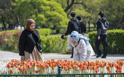 ‘APEC 효과’…경주 외국인 관광객 ‘증가세’