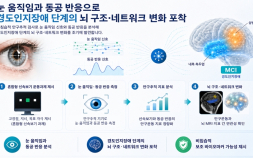 [쿠키과학] ‘눈이 알려주는 치매 전조’… 한의학연, 안구추적으로 뇌 위축 조기 탐지
