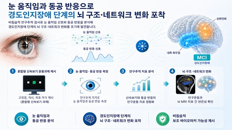 안구추적 기반 경도인지장애 뇌 구조·네트워크 변화 탐지 모식도. 한국한의학연구원
