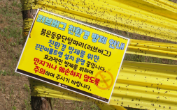 “어, 지난해랑 다르네?” 계양산 올라가 봤더니…러브버그 아직 ‘잠잠’