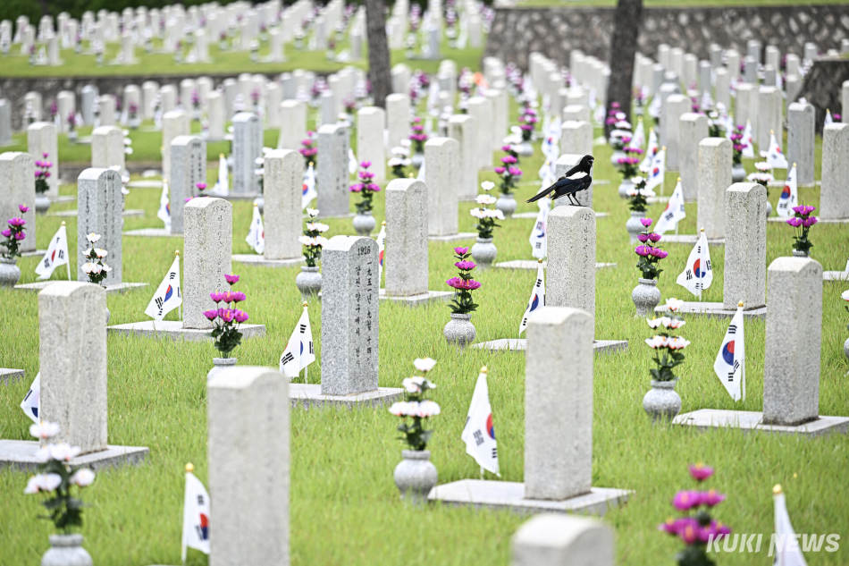 6·25전쟁 76주년을 하루 앞둔 24일 서울 동작구 국립서울현충원 묘역에 까치가 앉아있다.