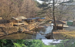 전남도, 산림계곡 불법시설 312건 적발…정비 속도
