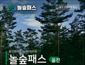 ‘울진 금강송 숲’으로 여름 휴가 떠나자