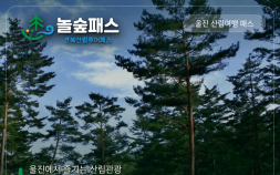 ‘울진 금강송 숲’으로 여름 휴가 떠나자