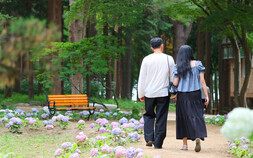 “여름 산책 할까요” 춘천 남이섬, 여름꽃과 물놀이 어우러져 청량함 가득