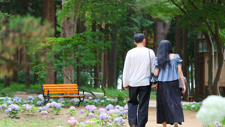 “여름 산책 할까요” 춘천 남이섬, 여름꽃과 물놀이 어우러져 청량함 가득