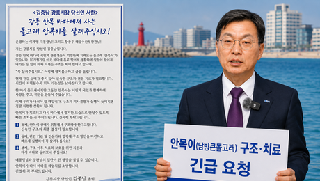 김중남 강릉시장 당선인, 건강 우려 돌고래 ‘안목이’ 살리기 행동 나서 주목
