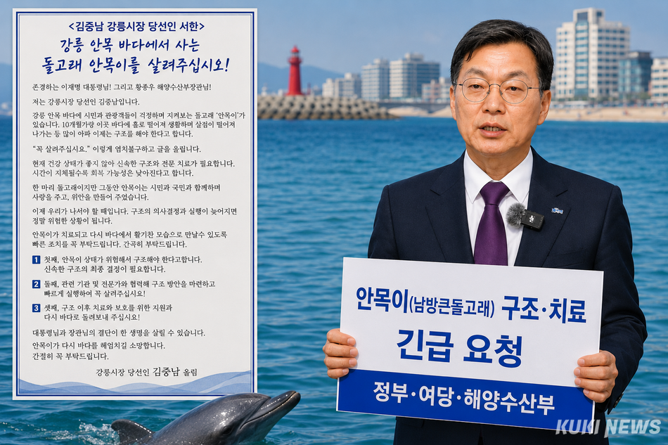 강릉 안목 해변에서 홀로 생활하며 건강 악화 우려를 낳았던 남방큰돌고래 ‘안목이’를 살리기 위해 김중남 강릉시장 당선인이 직접 나서면서 그동안 지지부진했던 안목이 구조 작업이 다음 주부터 본격적인 물꼬가 트일 전망이다. Chat GPT 생성 이미지